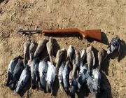 دراسة تحذر من كمية الرصاص الموجودة في الطيور المصيدة به