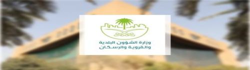 "الشؤون البلدية": حالات التسمم في "همبرغيني" بسبب بكتيريا في عينة "مايونيز" من شركة BON TUM